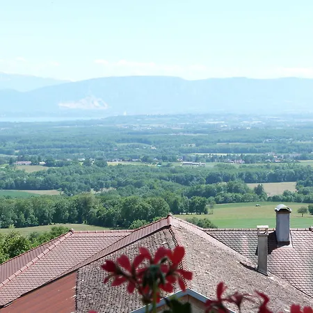 Les Lumières De Genève